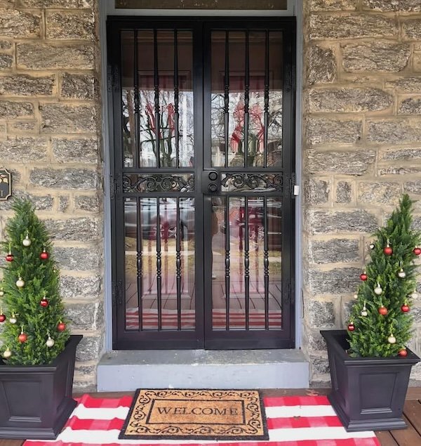 Security Storm Door